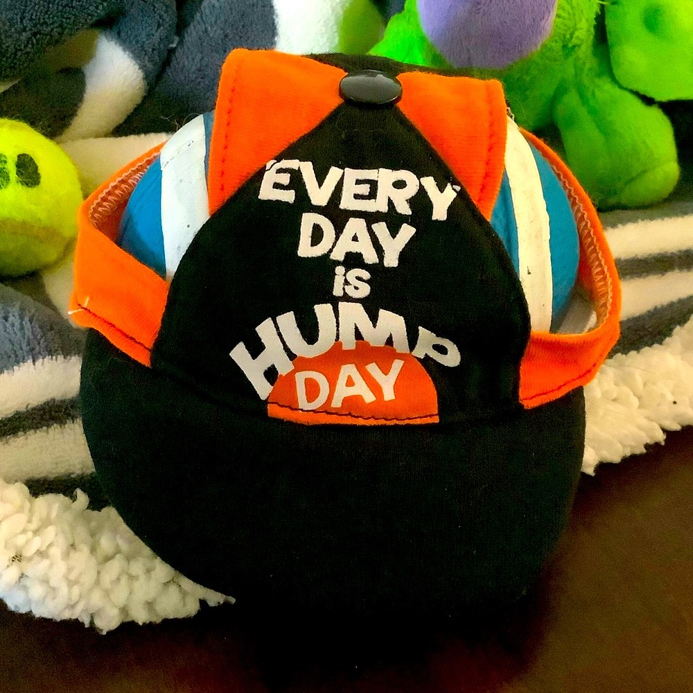 🔥Doggie Hat